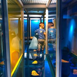 -KidSteam儿童乐园(富力城店)