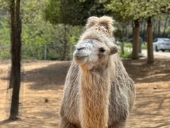 -杭州野生动物世界