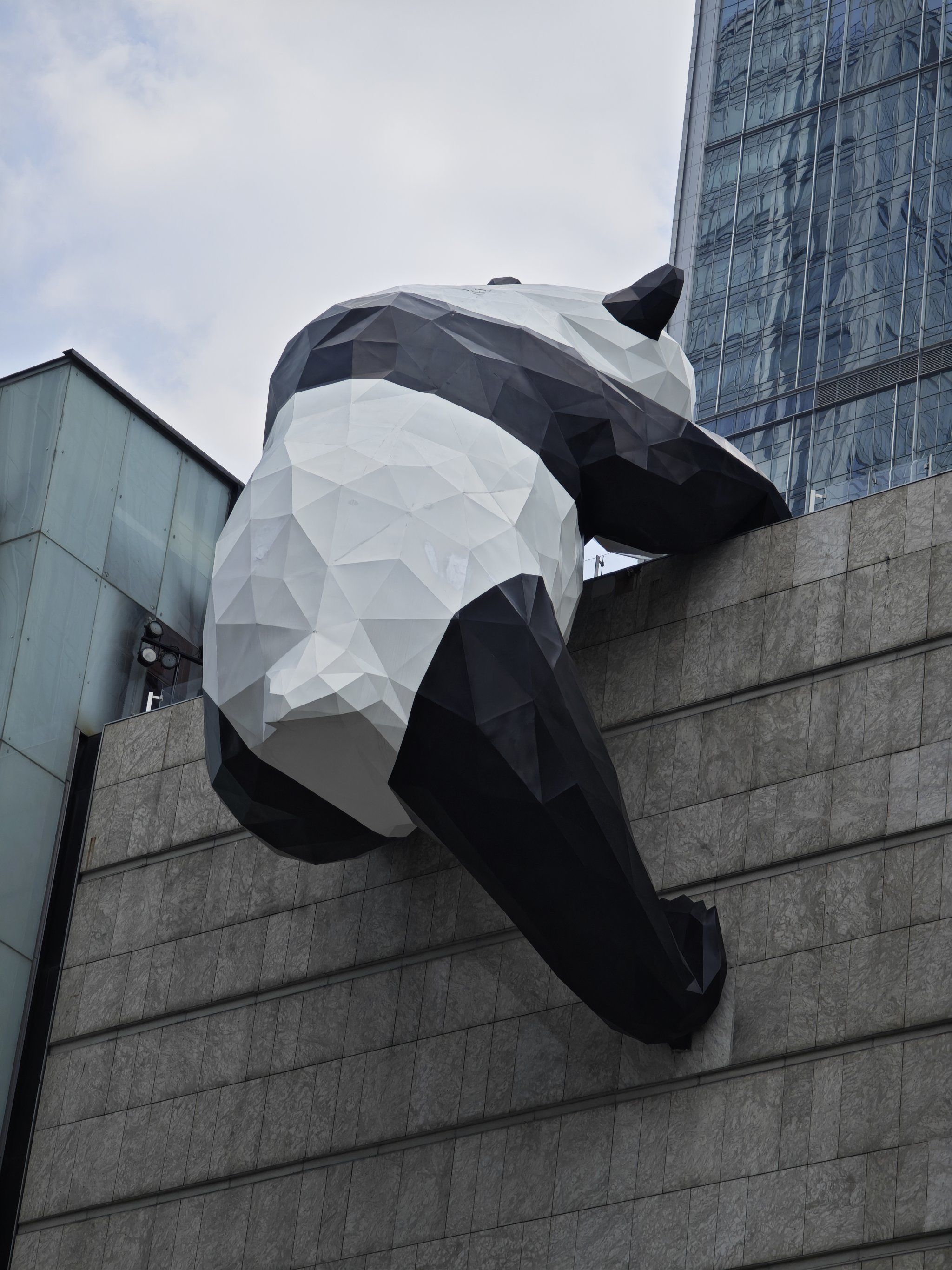 为啥我们都喜欢大熊猫#成都旅游#成都城市奇遇记#成都#成都春熙路#成