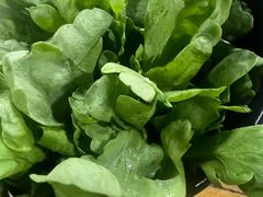 -马记伊源斋涮肉·清真菜(百子湾店)