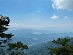 -王顺山国家森林公园
