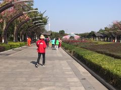 -映月湖公园
