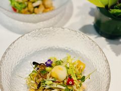 -蝶舍·MAISON PAPILLON