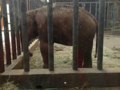 android_upload_pic-石家庄市动物园