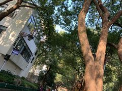 -杭州半山国家森林公园