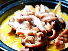 茶油猪肚-新悦·霞浦海鲜生(上下杭店)