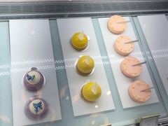 面包甜点陈列柜-莫奈花园法式蛋糕