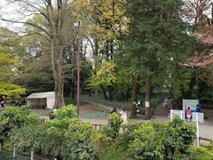 -井之头恩赐公园