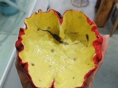 -陶语手工·拼豆·陶艺·银饰diy(宽厚里店)