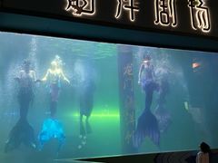 -洛阳龙门海洋馆