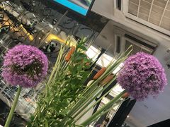-王家渡火锅店(棕榈泉店)