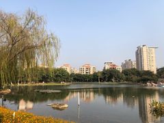 -映月湖公园