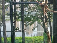-武汉动物园