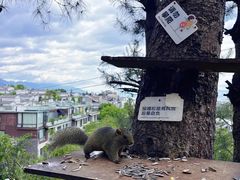 -大理苍山石门关旅游度假区