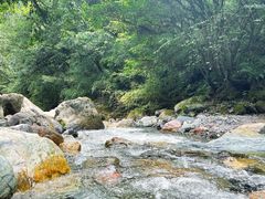 -西岭雪山大飞水景区