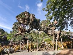 -奥兰多迪士尼动物王国乐园