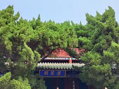 -蓬莱阁景区