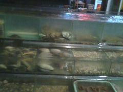 android_upload_pic-舟山小海鲜大排档(稻香新村店)