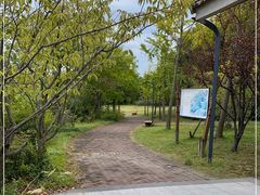 -上海吴淞炮台湾国家湿地公园