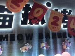 -猫抓烤肉(春熙路店)