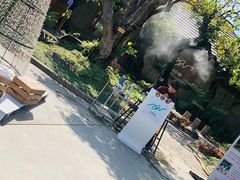 -Chom Cafe and Restaurant