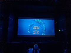 -万达影城(IMAX激光铁西万达广场店)