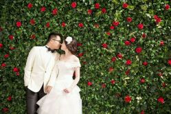 点击看大图 -韩国艺匠ARTIZ STUDIO(博览中心店)