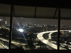 -新加坡丽思卡尔顿美年酒店