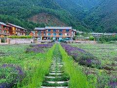 -丽江泸沽湖景区