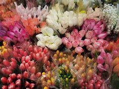 -循礼门鲜花花市(武汉循礼门店)