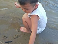 -南宁南湖公园
