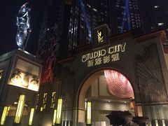 -影汇之星8字形摩天轮