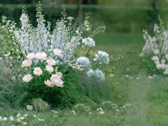 -火车头法国西餐厅