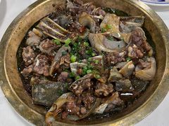 -明本湛江鸡•海鲜小厨(陈家祠店)