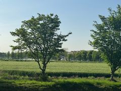 -祝甸砖窑文化馆