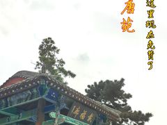 -中国唐苑