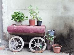 -老味道(田子坊店)