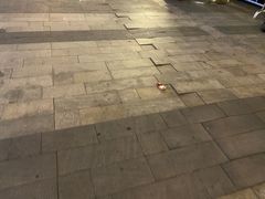 -鹿逸自助酒店(东大路地铁站店)
