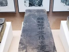 -亳州博物馆