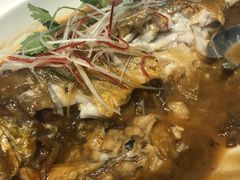 -保定会馆(秀兰店)