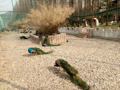 景点-南京金牛湖风景区