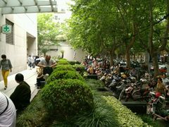 -上海交通大学医学院附属瑞金医院(总院)
