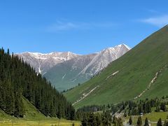 -俭寨大盘芦花土鸡·小公鸡·烧烤新疆菜(云通店)