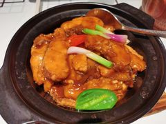 豆腐鱼腩煲-大鸽饭(体育西路店)