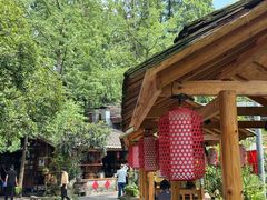 -青城甲(青城山店)