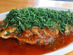 -老字号怡玺·藿香雅鱼(20年雅安店)