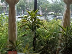 -太守宴·蘭院(天塔店)