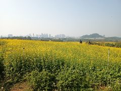 -光明小镇欢乐田园