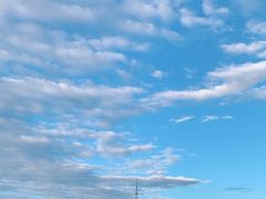 -真爱中国餐馆·年华店(朱雀大街店)