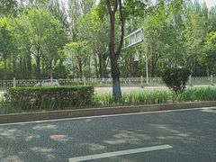 -龙塔
